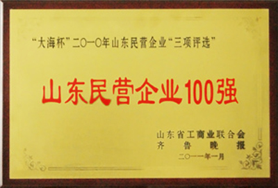 被評為“山東民營企業(yè)100強(qiáng)”